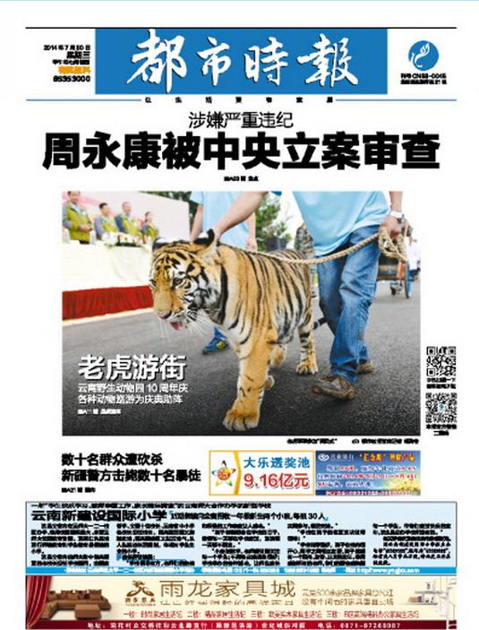 阳江新闻网：记录城市脉动的地方媒体力量